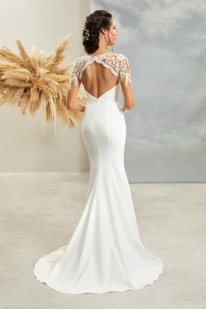 Illusion Sleeve Gown