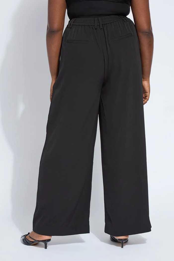 Lyssé Darcy Pleated Wide Leg Trouser 10-3660-M4
