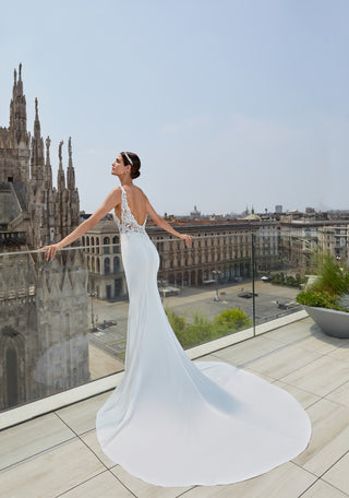 Applique Plunge Gown
