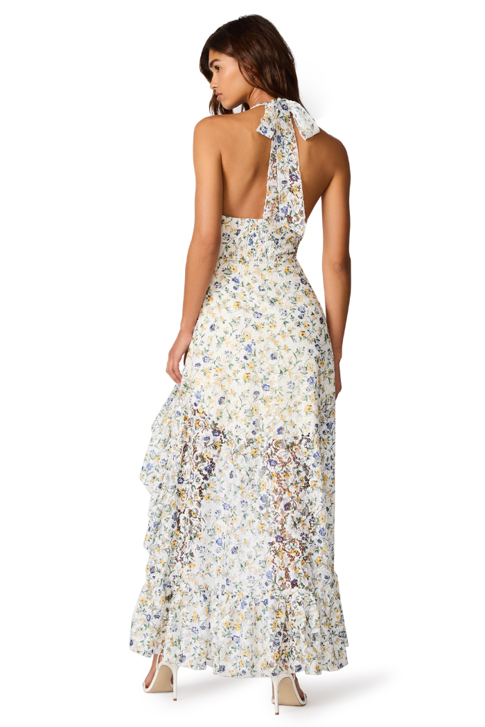 steve madden maxi dress Steve Madden Women's Lara Dress, Large
