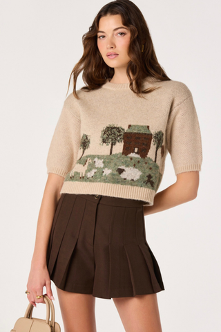 Colette Intarsia Short Sleeve Sweater ASTR ACT17283JC