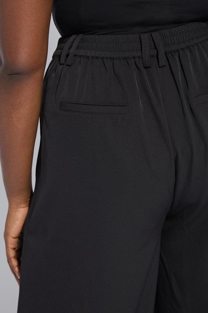 Lyssé Darcy Pleated Wide Leg Trouser 10-3660-M4