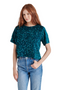 Deep Teal
