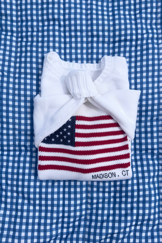 Vintage Flag Sweater - Madison