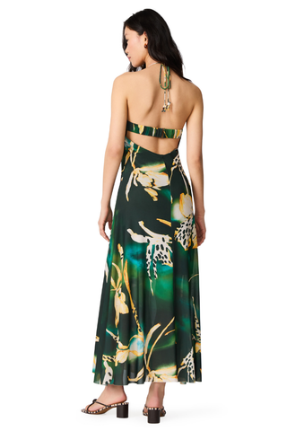 Steve Madden Strada Dress XB14040