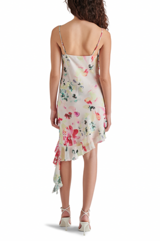 Steve Madden Carmenita Dress