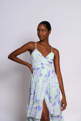 Hutch Imani Dress