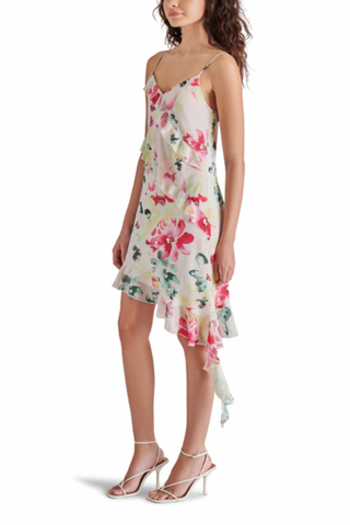Steve Madden Carmenita Dress