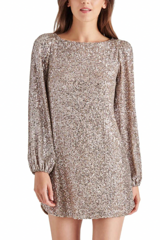 Steve Madden Delorean Dress