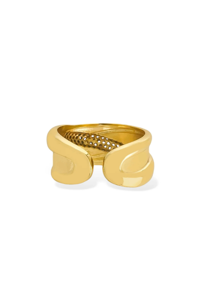 OMGBlings LRN384 - Two Tone Ring