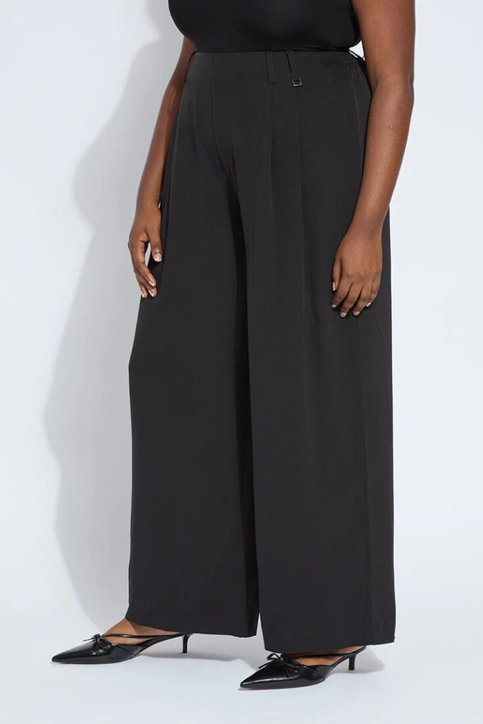 Lyssé Darcy Pleated Wide Leg Trouser 10-3660-M4