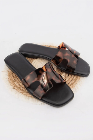 CONCEPT-97 Modern Vibrant Jelly Strap Slide Flat Sandals CCOCCI