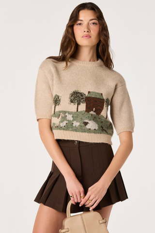Colette Intarsia Short Sleeve Sweater ASTR ACT17283JC