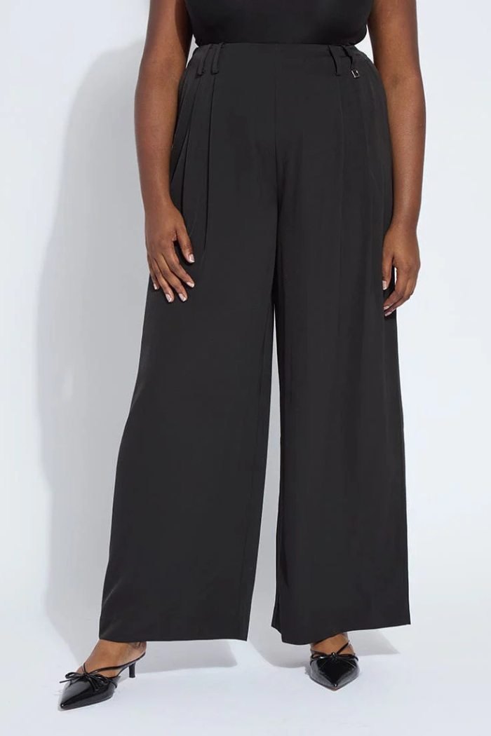 Lyssé Darcy Pleated Wide Leg Trouser 10-3660-M4
