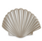Shimmery Shell