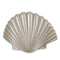 Shimmer Pearly Shell