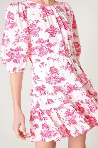 Ainsley Meadow Dress
