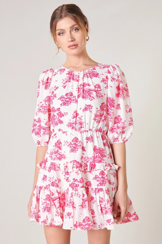 Ainsley Meadow Dress